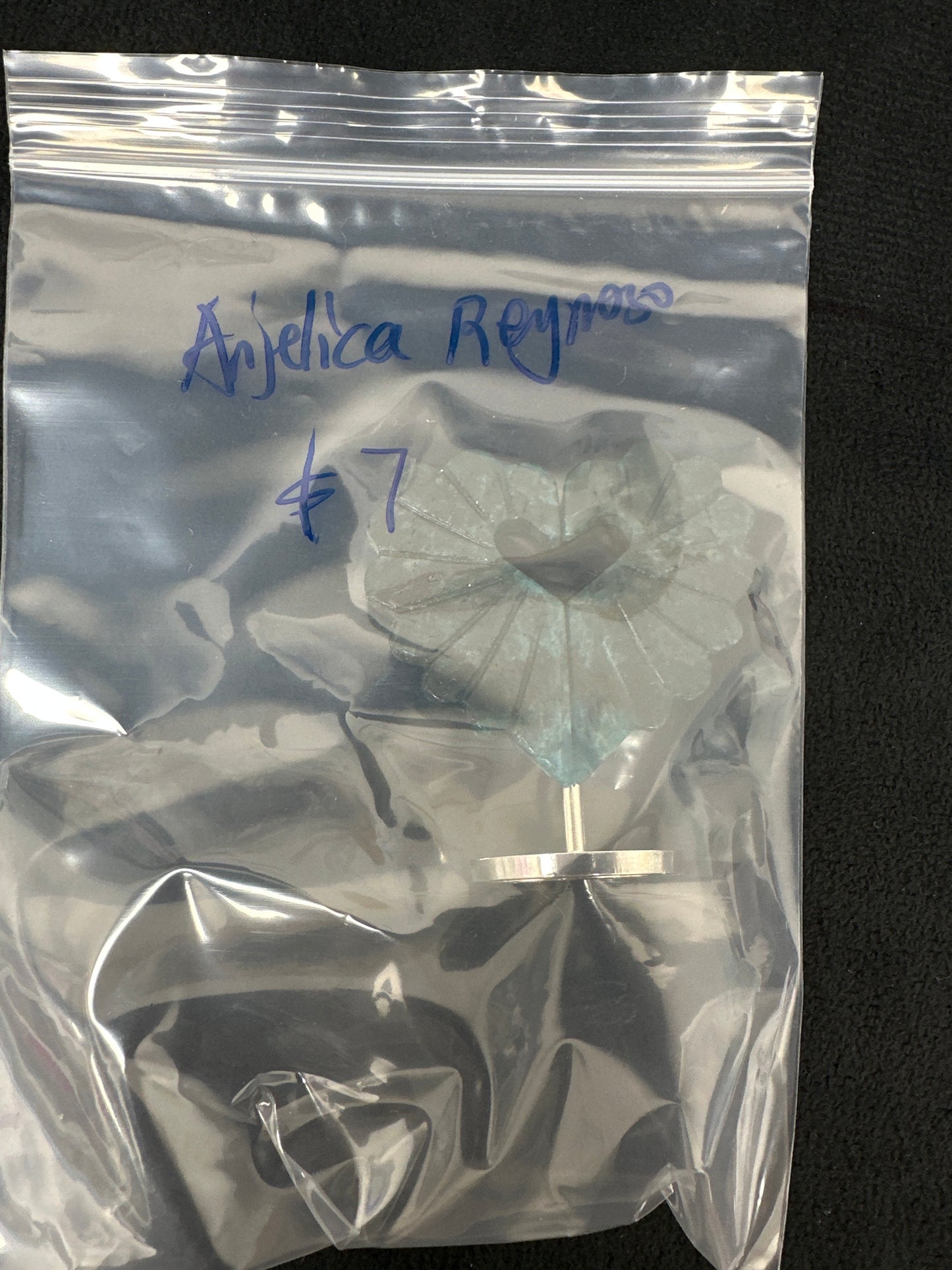 Anjelica reynoso/Facebook/Luna 11.19