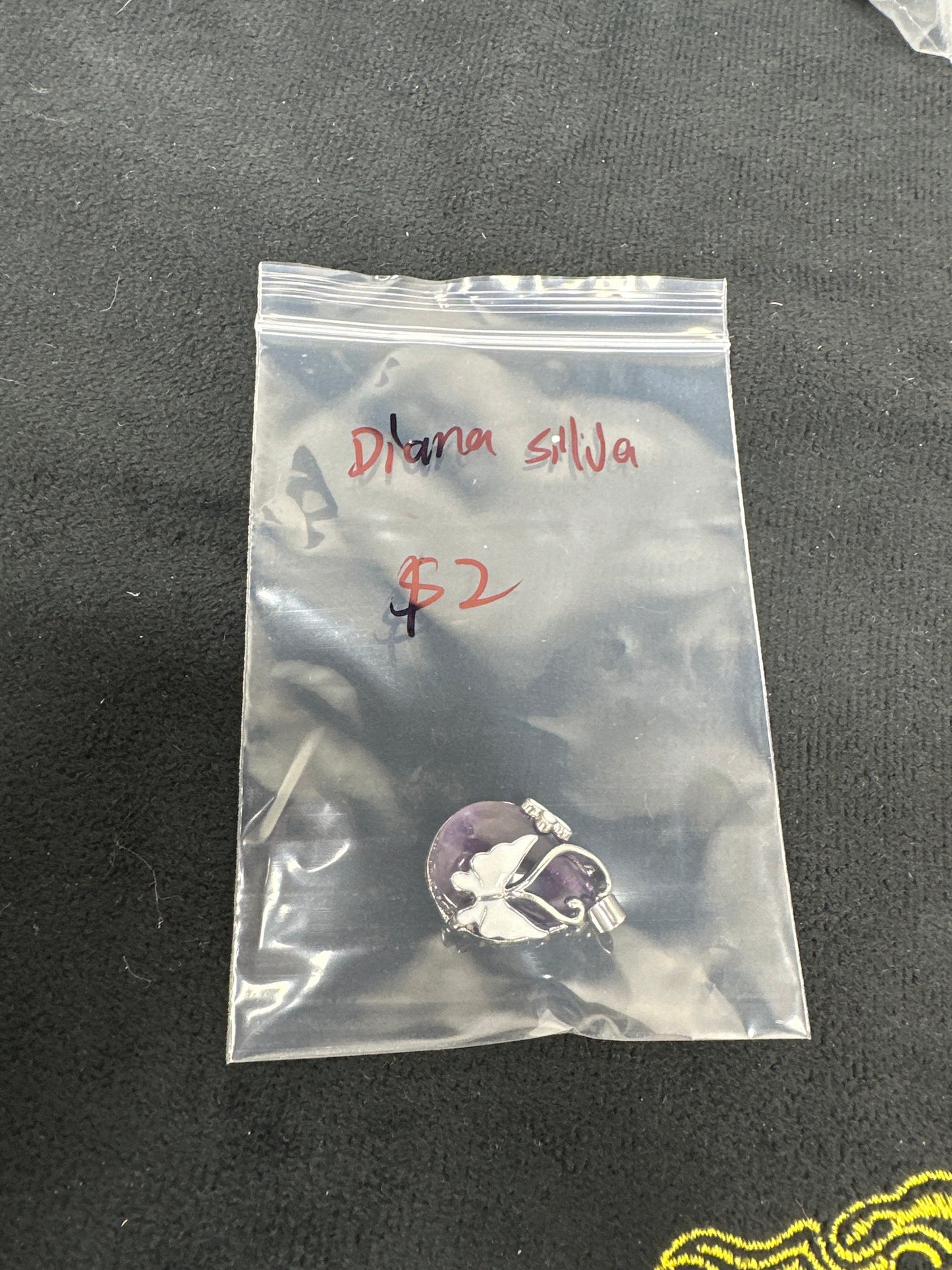 Diana Silva/Facebook/Luna 10.12