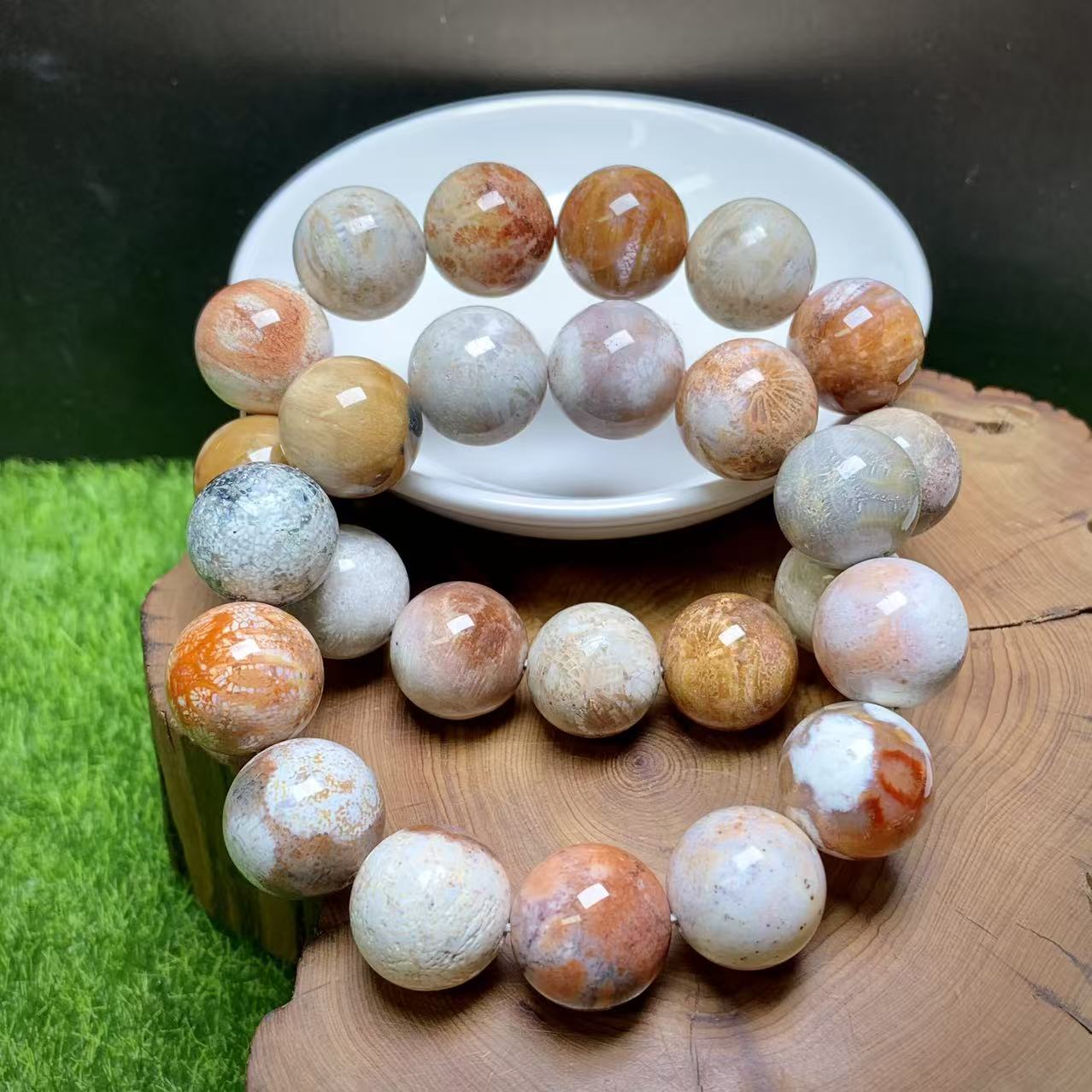 Rainbow Coral Fossil Jasper bracelet 1pc (14mm-17mm)