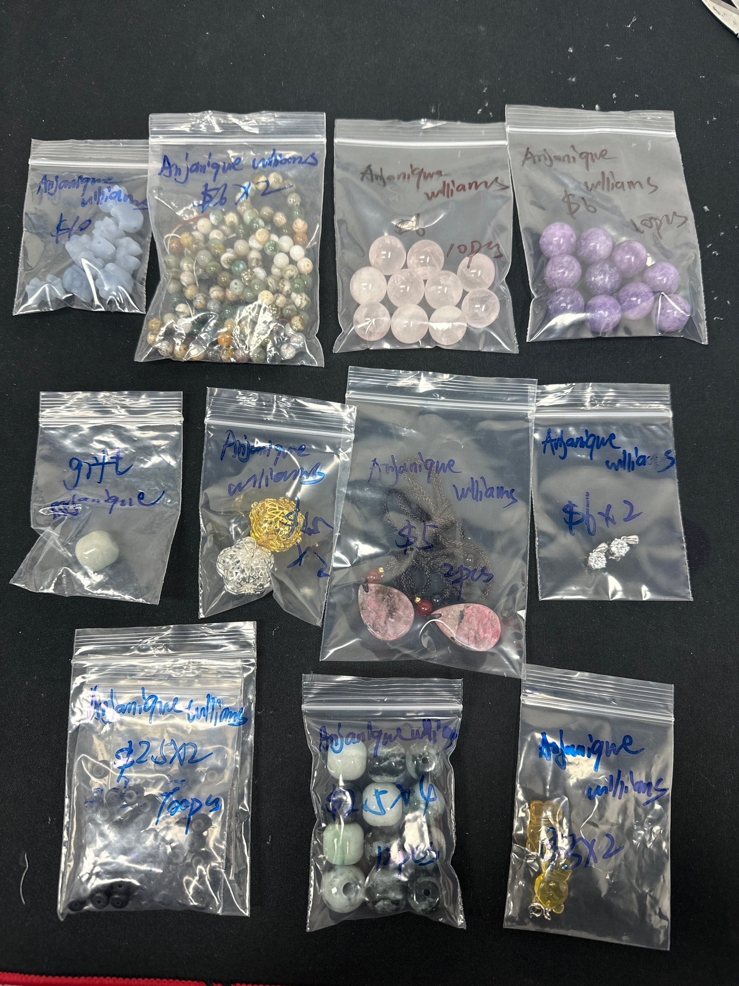 Anjanique Williams/Facebook/Luna 2.13