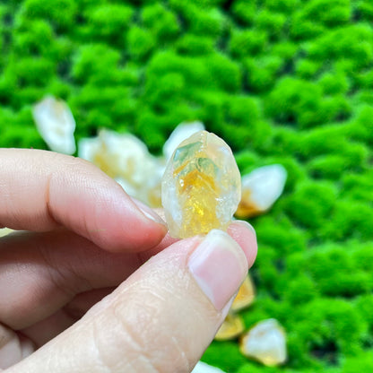 Citrine Root Raw 300gram