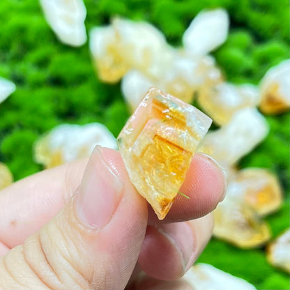 Citrine Root Raw 300gram