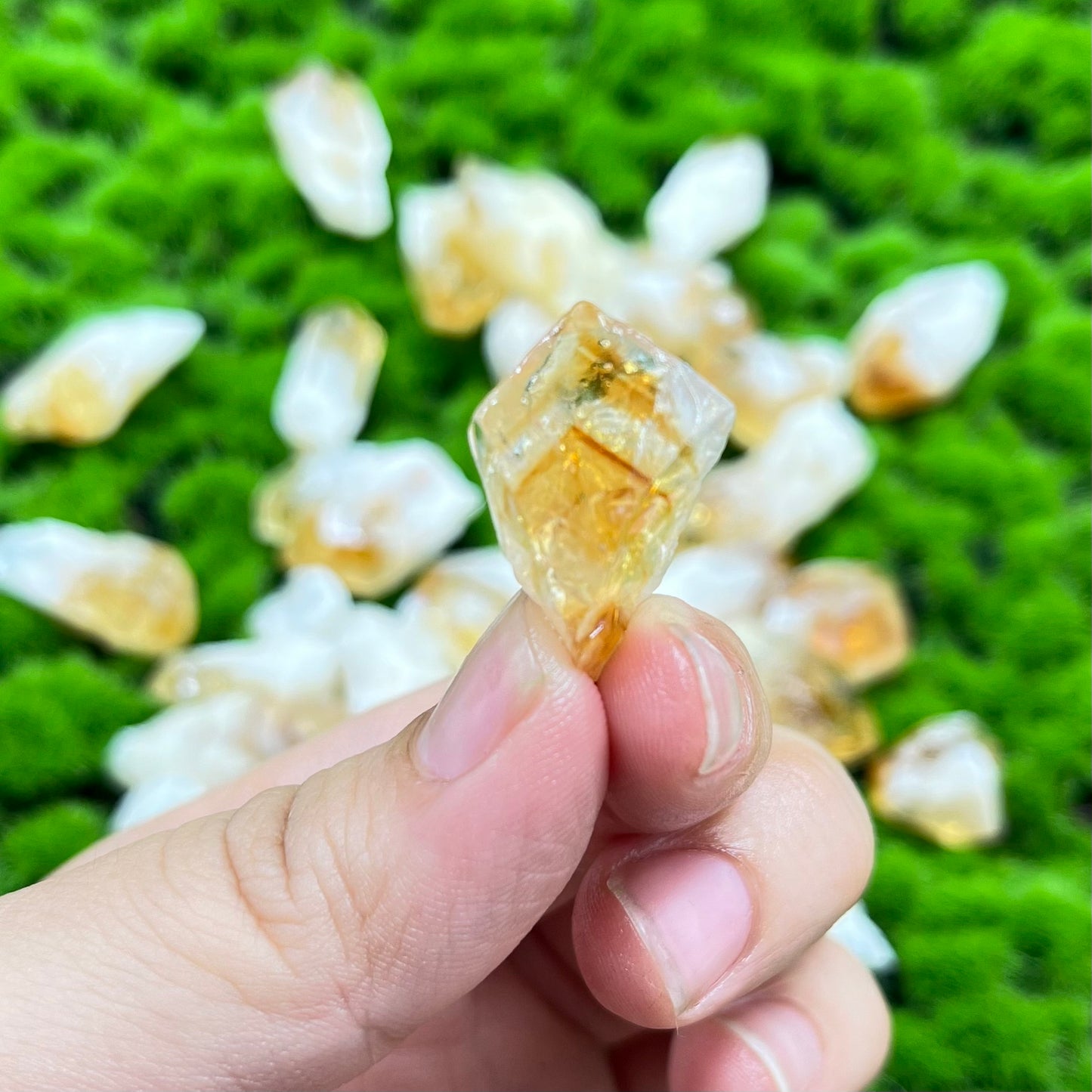 Citrine Root Raw 300gram