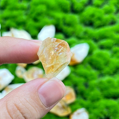 Citrine Root Raw 300gram