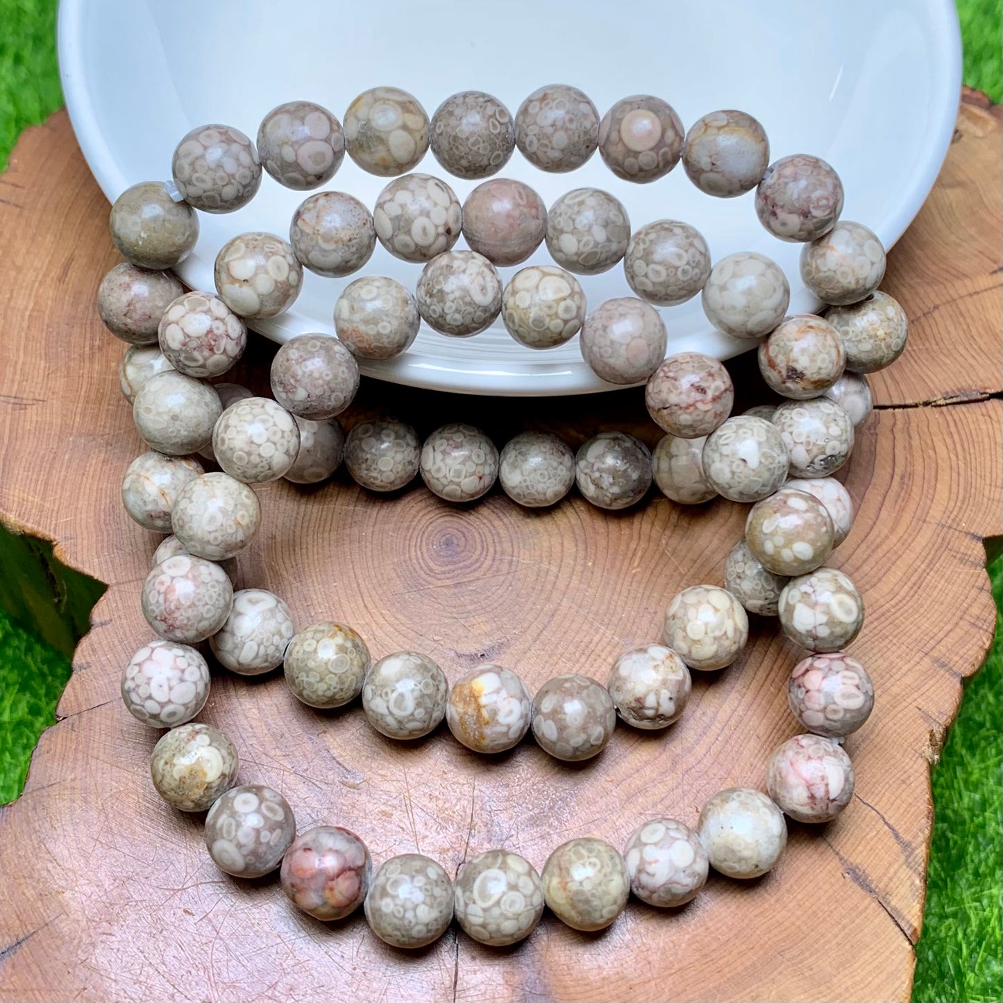 Grey Crinoid Fossil bracelet 8mm 1pc(SL167)