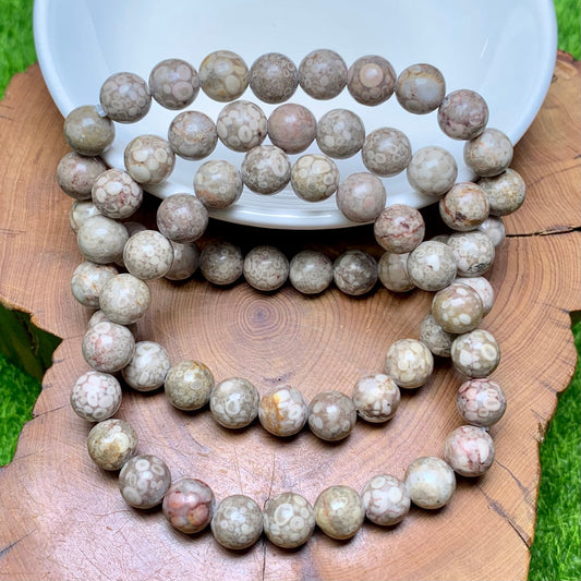 Grey Crinoid Fossil bracelet 8mm 1pc(SL167)