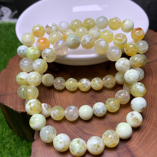 FireFly Agate(DYED) Bracelet 8mm (SL204)