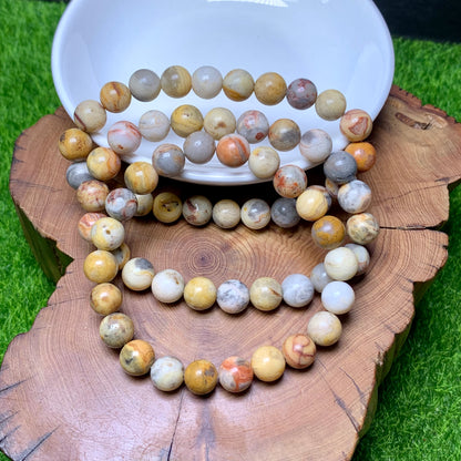 Crazy Lace Agate Bracelet 8mm 1pc (SL244)