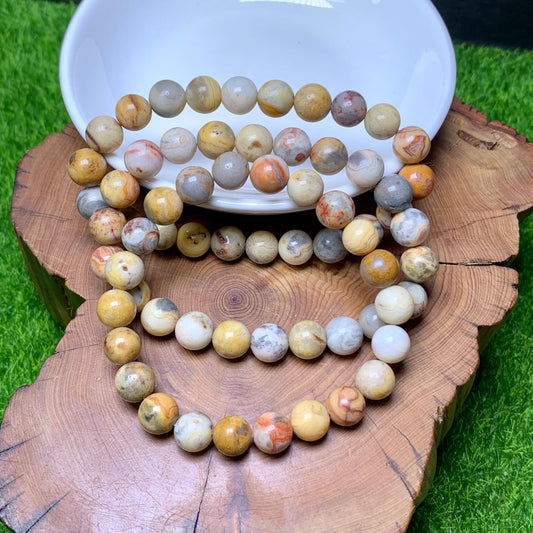 Crazy Lace Agate Bracelet 8mm 1pc (SL244)