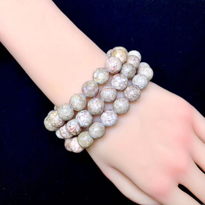 Grey Crinoid Fossil Bracelet  10mm 1pc (SL371)