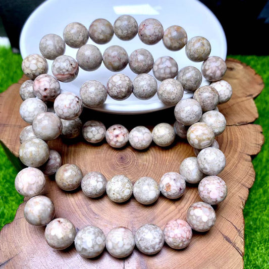 Grey Crinoid Fossil Bracelet  10mm 1pc (SL371)