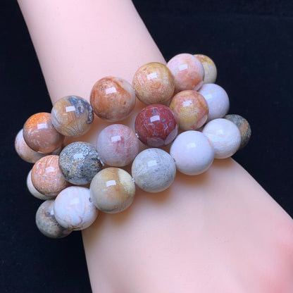 Fire Coral Fossil Jasper Bracelet 14mm 1pc (SL466)