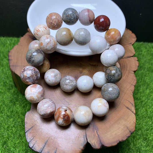 Fire Coral Fossil Jasper Bracelet 14mm 1pc (SL466)