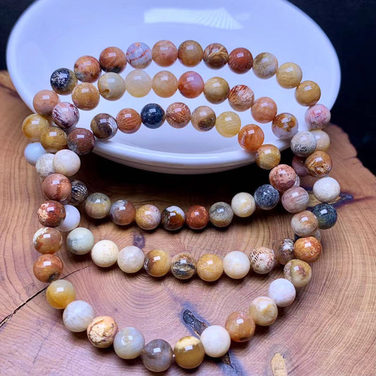 Rainbow Coral Fossil Jasper Bracelet 6mm 1pc (SL534)