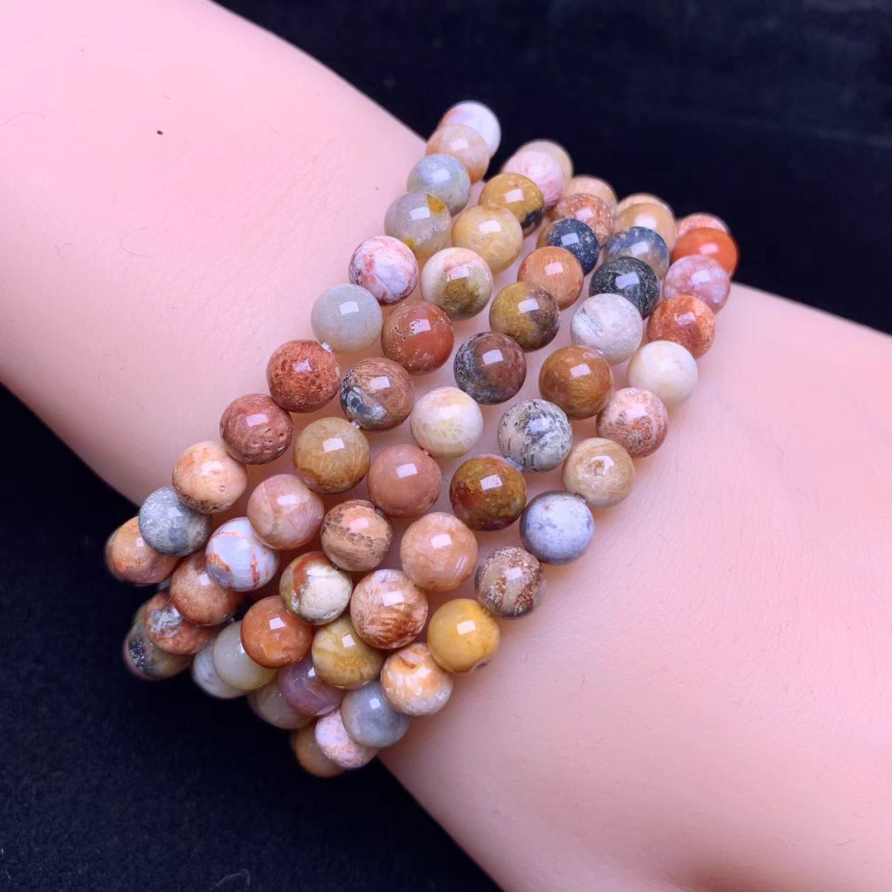 Rainbow Coral Fossil Jasper Bracelet 6mm 1pc (SL534)