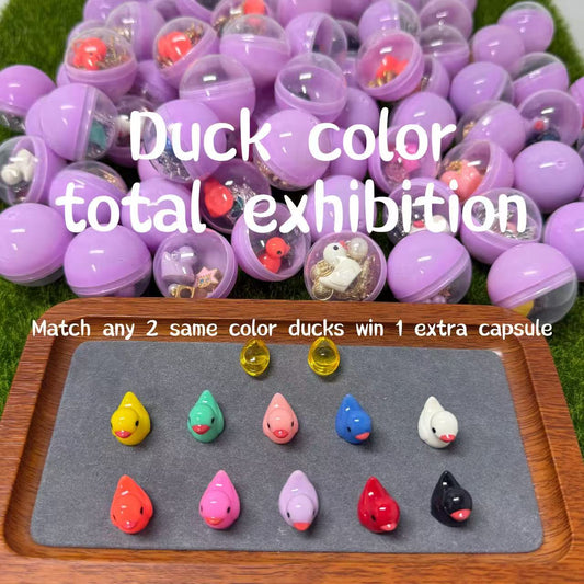 Accessories | Duck Lucky Game Felicity