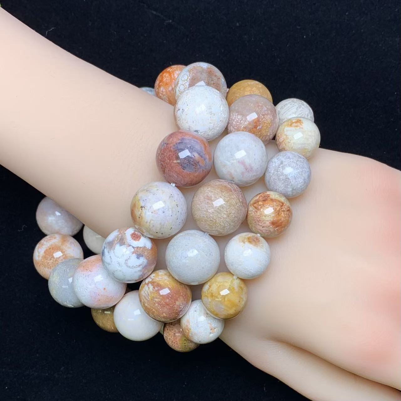 Rainbow Coral Fossil Jasper bracelet  1pc (14mm-17mm)