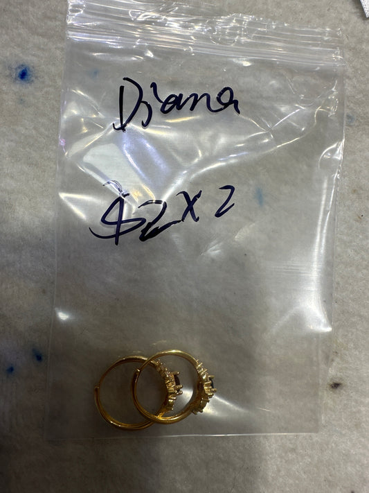 Diana Silva/Facebook/Luna 9.24QSSJ和XFRS