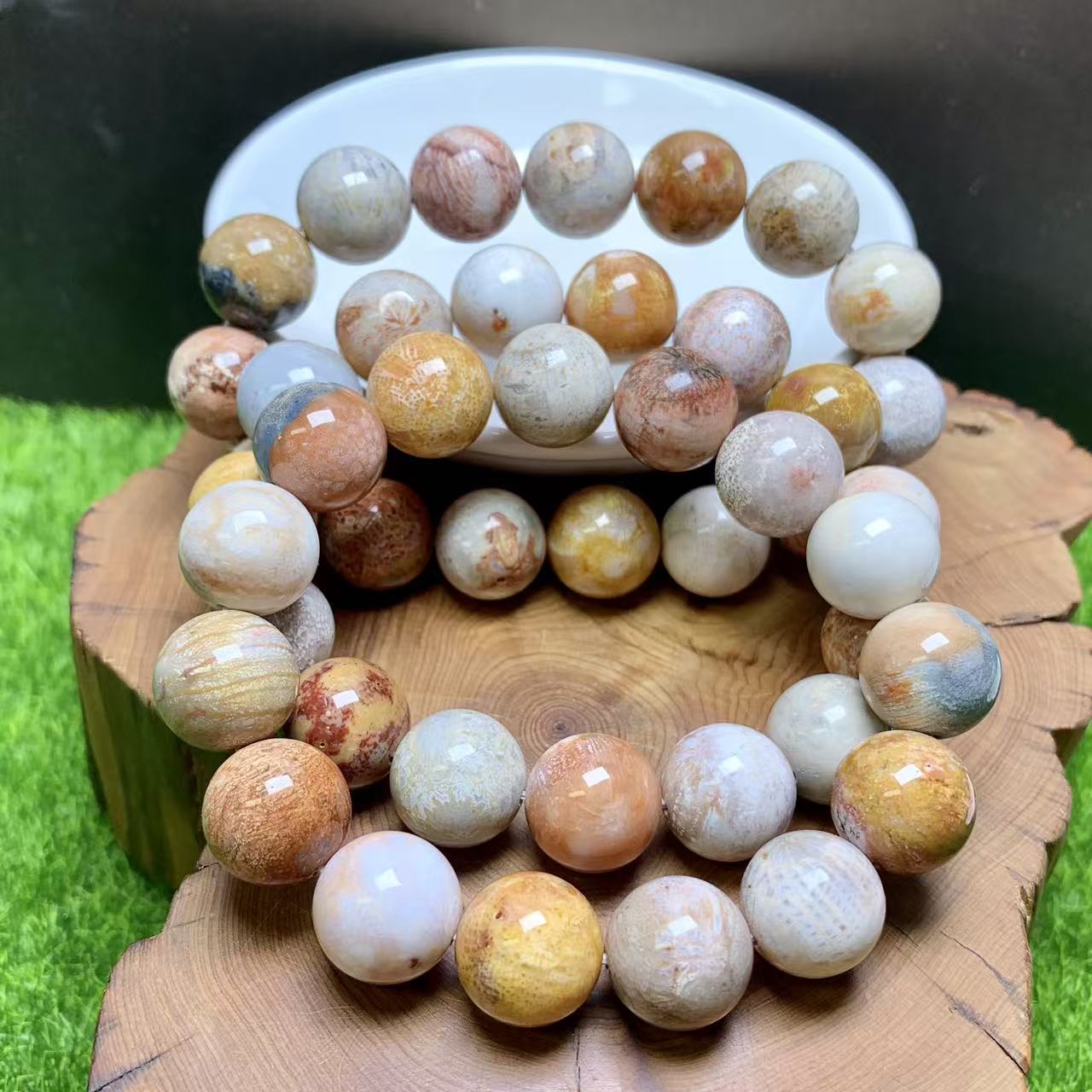 Rainbow Coral Fossil Jasper bracelet  1pc (14mm-17mm)