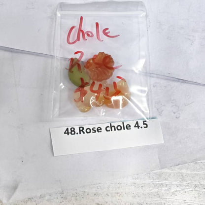 One bowl crystal bead- travis00-can make 6pcs bracelets 8.26