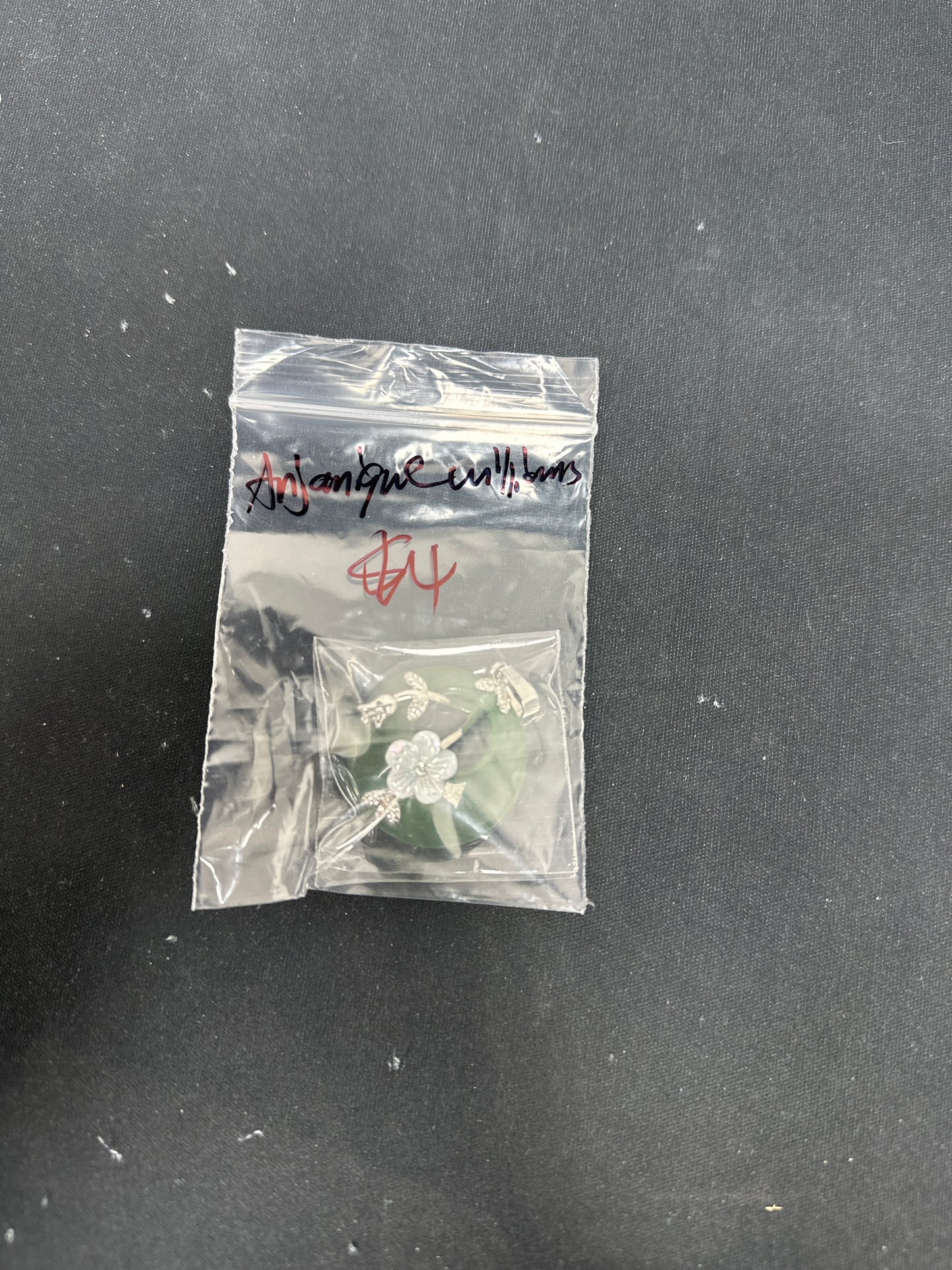 Anjanique Williams/Facebook/Luna 2.13