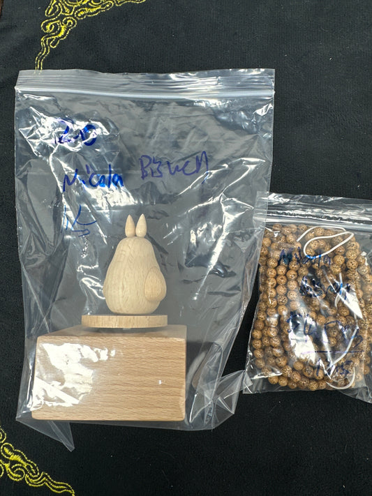 Nicola biswell/Facebook/Luna 1.5