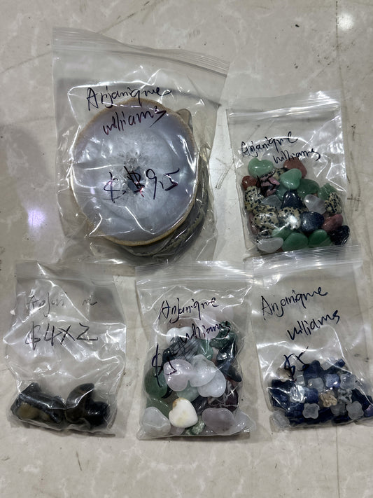 Anjanique Williams/Facebook/Luna 2.11