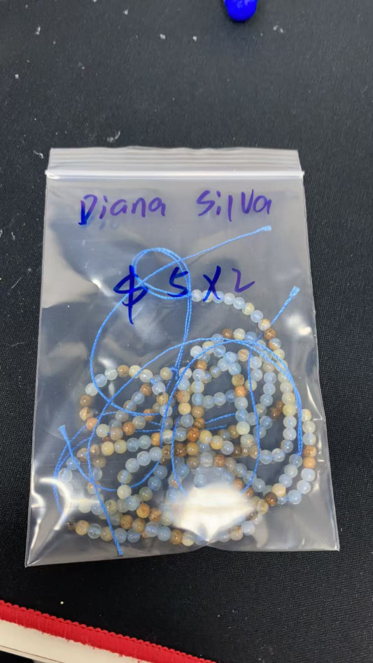 Diana Silva/Facebook/Luna 9.11