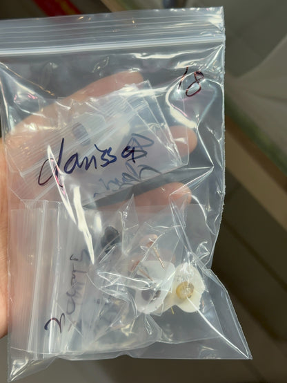 Clarissa duecker /TikTok/Chris 11.16