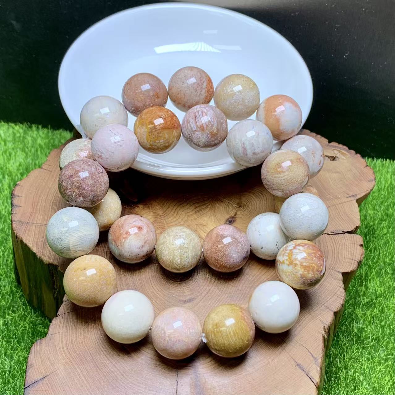 Rainbow Coral Fossil Jasper bracelet  1pc (14mm-17mm)